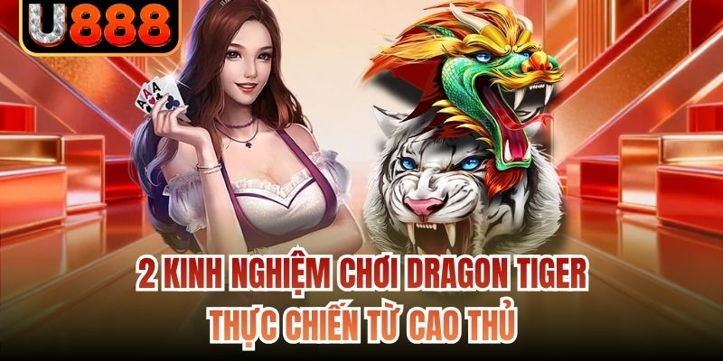 2 kinh nghiệm chơi Dragon Tiger thực chiến từ cao thủ