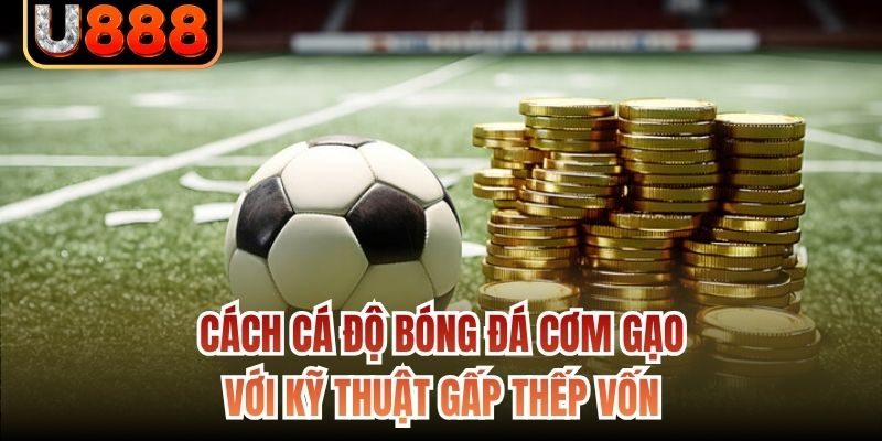 Cách cá độ bóng đá cơm gạo với kỹ thuật gấp thếp vốn
