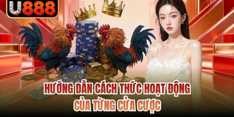 Hướng dẫn cách thức hoạt động của từng cửa cược