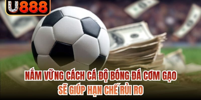 Nắm vững cách cá độ bóng đá cơm gạo sẽ giúp hạn chế rủi ro