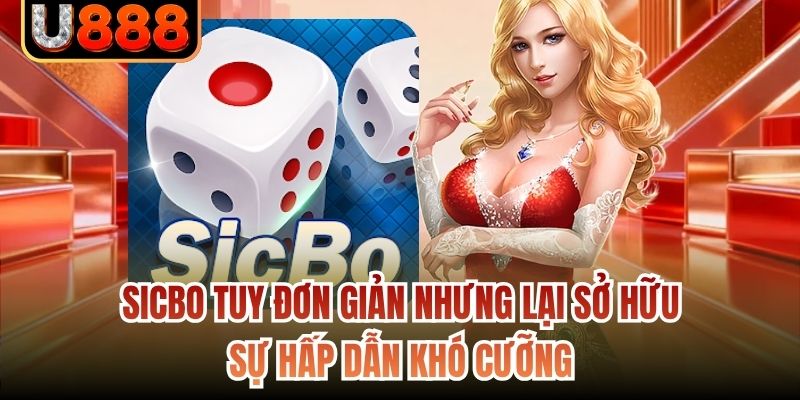 Sicbo tuy đơn giản nhưng lại sở hữu sự hấp dẫn khó cưỡng